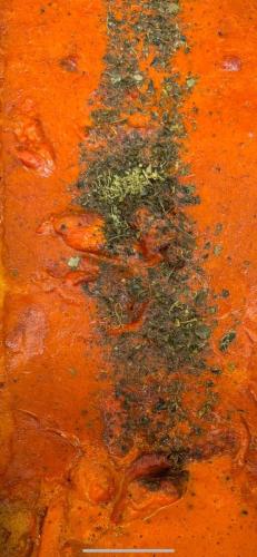IMG-20250408-WA0012
